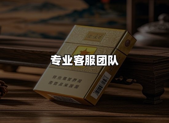 专业优势